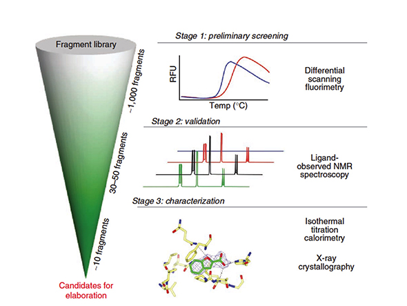 A three-stage fragment screening cascade